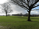 View at this Park
