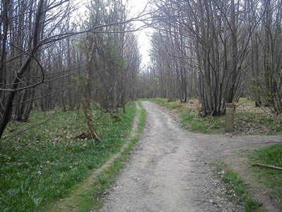 View 1